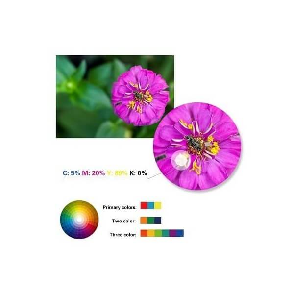 cartouches encre pour Epson XP-245 